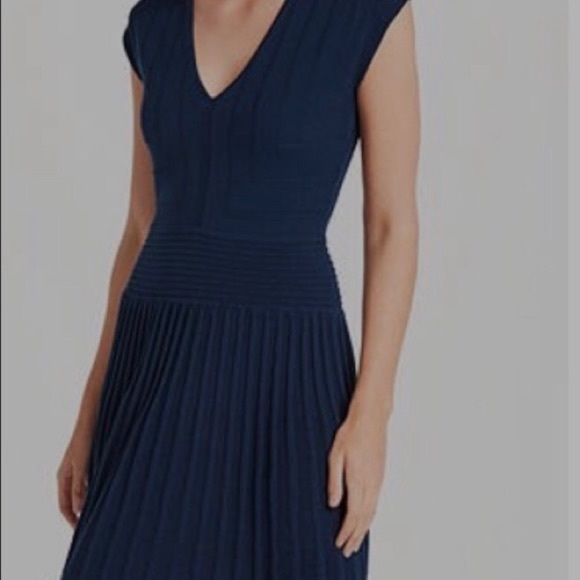 Max Studio Dresses & Skirts - Max Studio Specialty Sapphire Dress, Sz L NWT